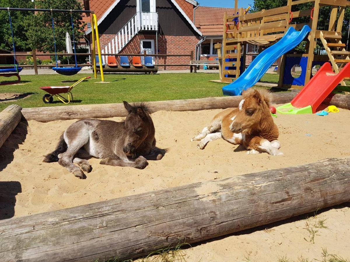 Kleiner Onkel Villa Twist Kültér fotó